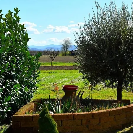 La Casa Del Gufo - La Casa Di Graz *